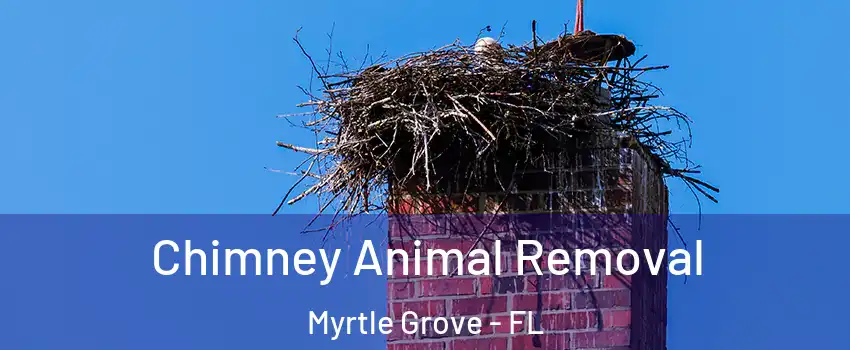 Chimney Animal Removal Myrtle Grove - FL