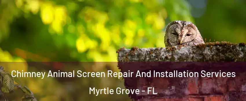  Chimney Animal Screen Repair And Installation Services Myrtle Grove - FL