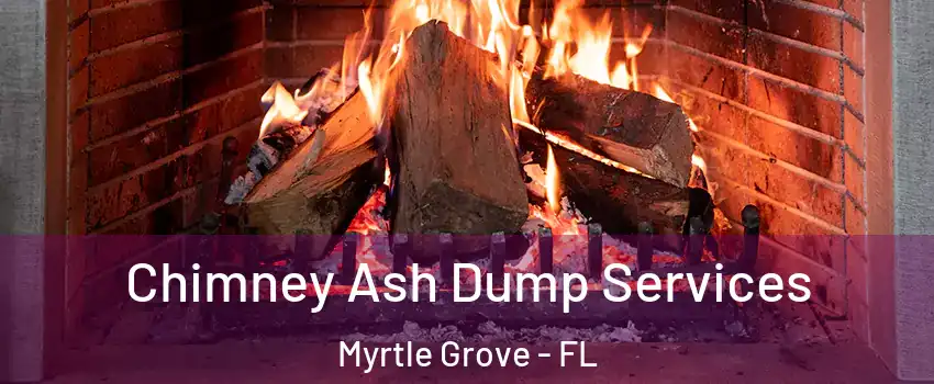 Chimney Ash Dump Services Myrtle Grove - FL