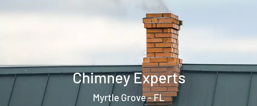  Chimney Experts Myrtle Grove - FL
