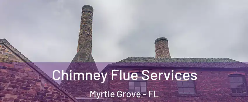  Chimney Flue Services Myrtle Grove - FL