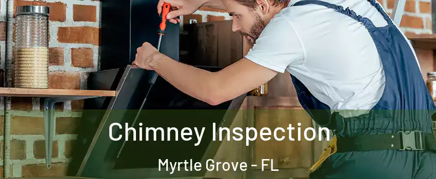  Chimney Inspection Myrtle Grove - FL