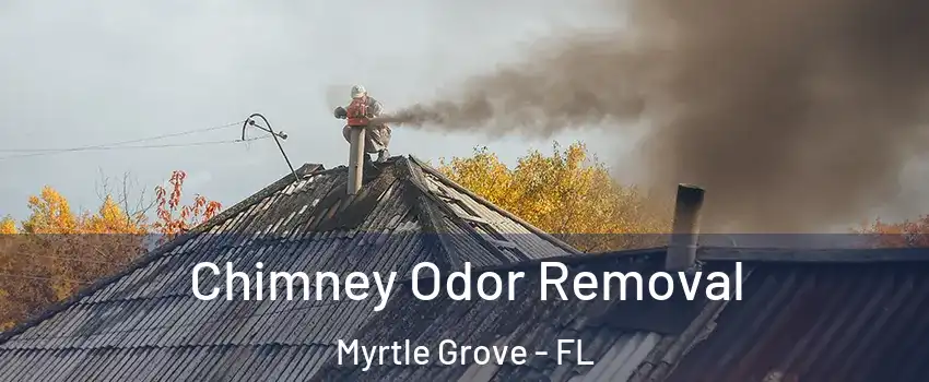  Chimney Odor Removal Myrtle Grove - FL