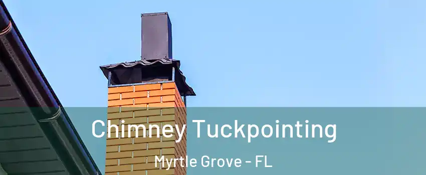  Chimney Tuckpointing Myrtle Grove - FL