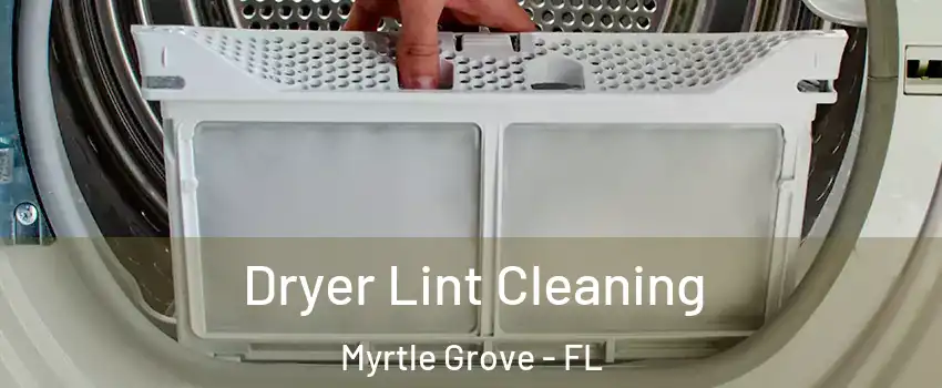  Dryer Lint Cleaning Myrtle Grove - FL