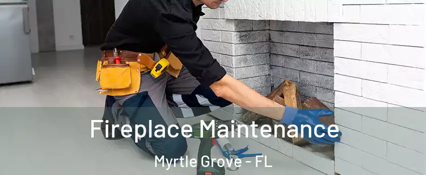  Fireplace Maintenance Myrtle Grove - FL