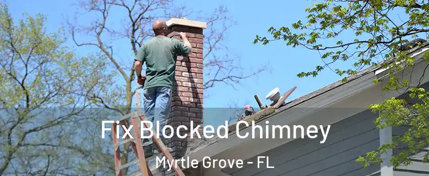  Fix Blocked Chimney Myrtle Grove - FL
