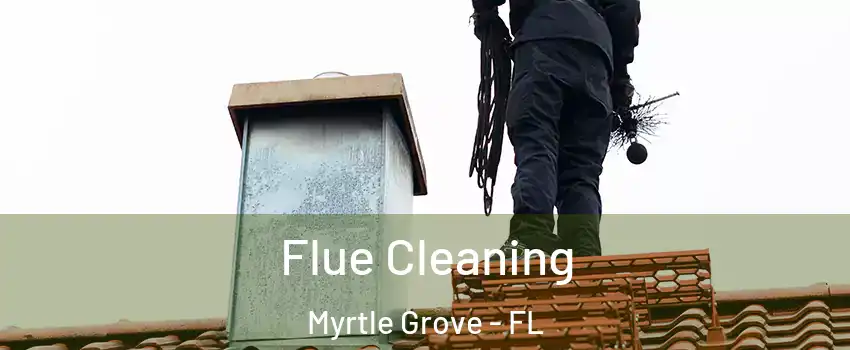 Flue Cleaning Myrtle Grove - FL