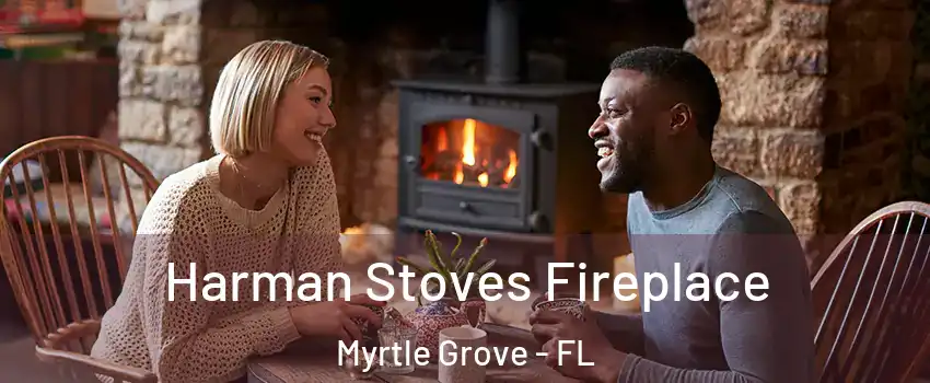  Harman Stoves Fireplace Myrtle Grove - FL