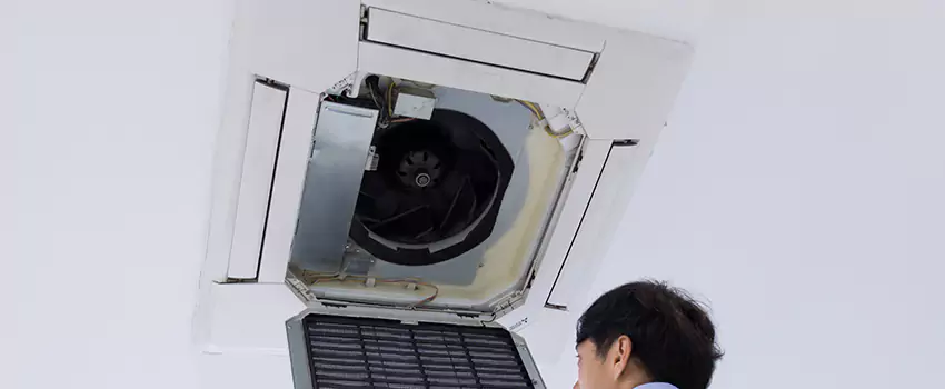 Benefits of Professional Air Duct Cleaning in Myrtle Grove, Florida