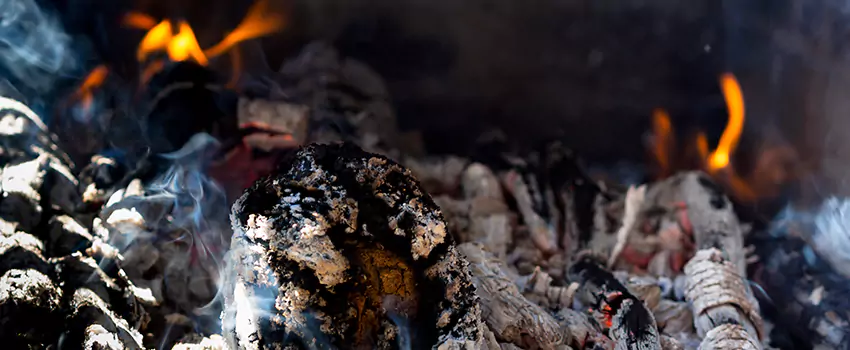 Creosote Removal Experts in Myrtle Grove, FL