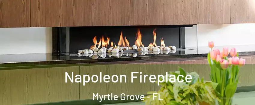 Napoleon Fireplace Myrtle Grove - FL
